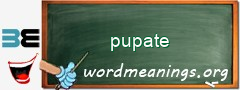 WordMeaning blackboard for pupate